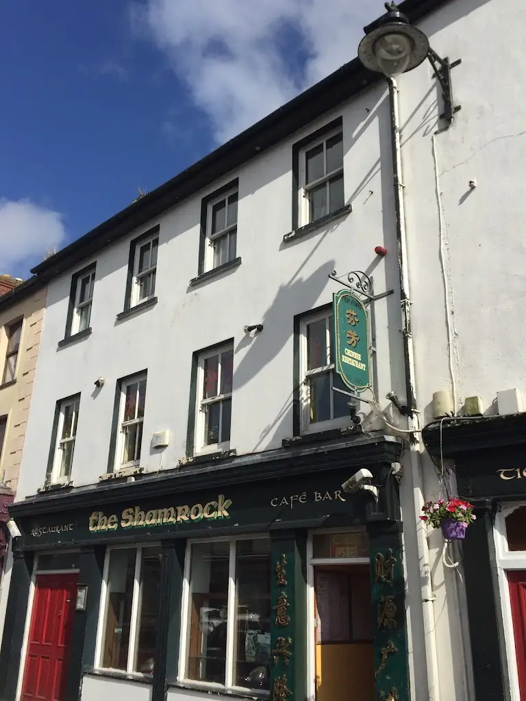 Fen Fong Chinese Restaurant_Dunmanway_slider_image_2