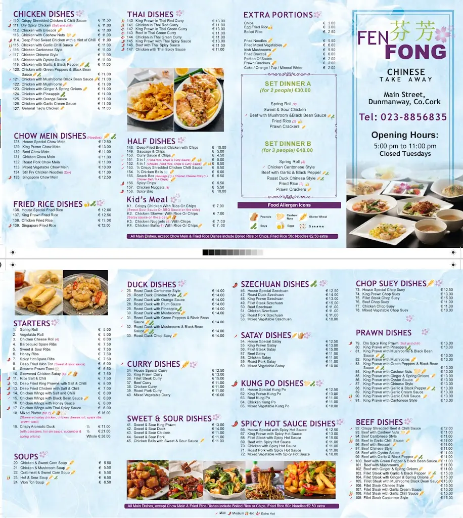 Fen Fong Chinese Restaurant_Dunmanway_slider_image_3