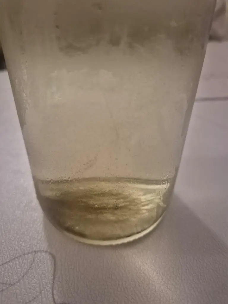 Muhammed Shaheen Hamza_Silver House Restaurant_Kilrush_review