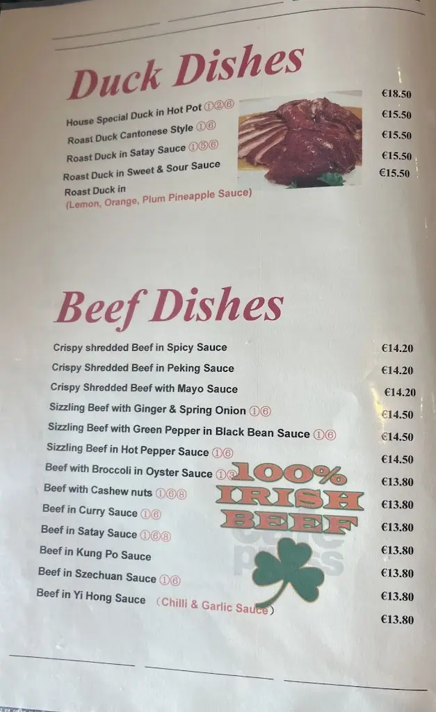 Menu_Hong Kong Chinese Restaurant_Fermoy_image_3