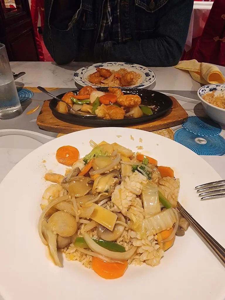 Kamal Salem_Hong Kong Chinese Restaurant_Fermoy_review