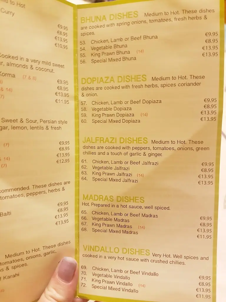 Menu_Raj Indian Cuisine_Fermoy_image_3