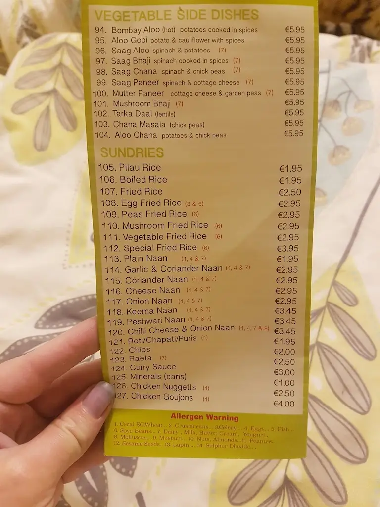 Menu_Raj Indian Cuisine_Fermoy_image_4