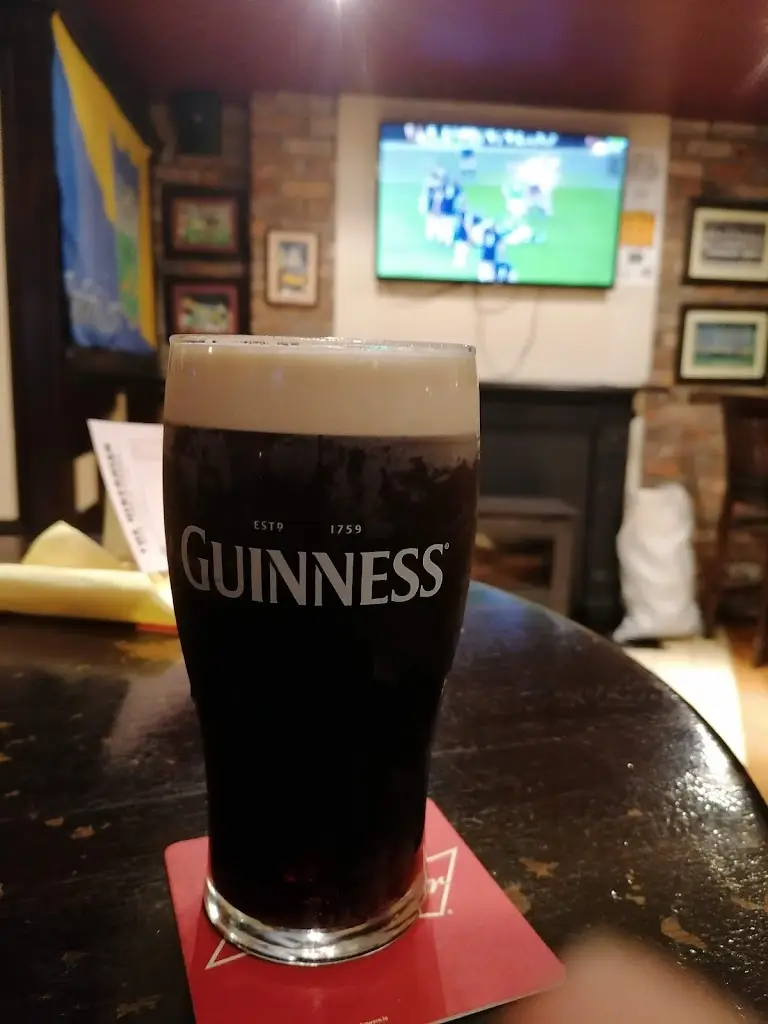 Menu_Hibernian Inn & Restaurant_Nenagh_image_3