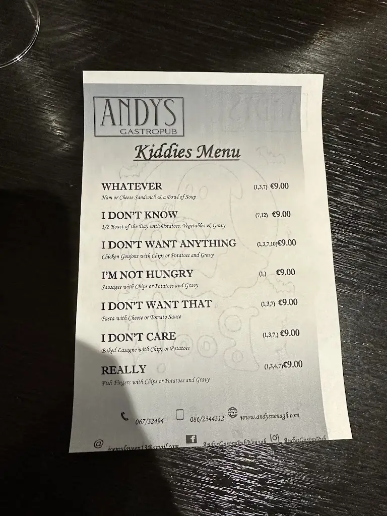 Menu_Andy's Gastropub Bed & Breakfast_Nenagh_image_2