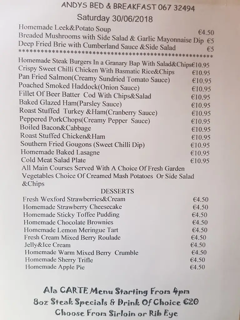 Menu_Andy's Gastropub Bed & Breakfast_Nenagh_image_3