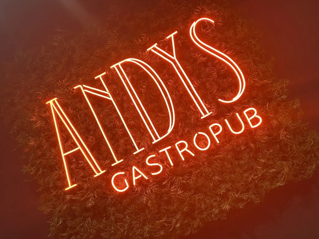 Lisa Stone_Andy's Gastropub Bed & Breakfast_Nenagh_review