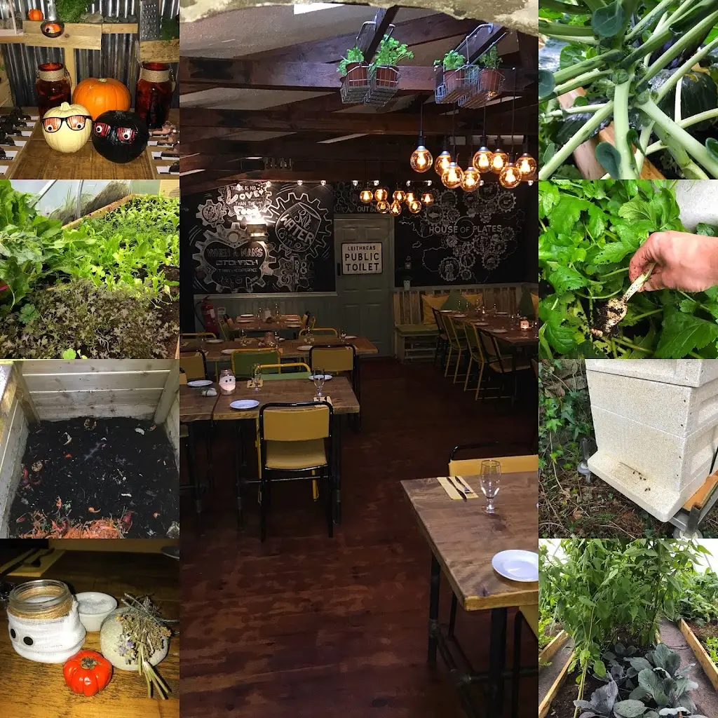 House of Plates_Mayo County_slider_image_1