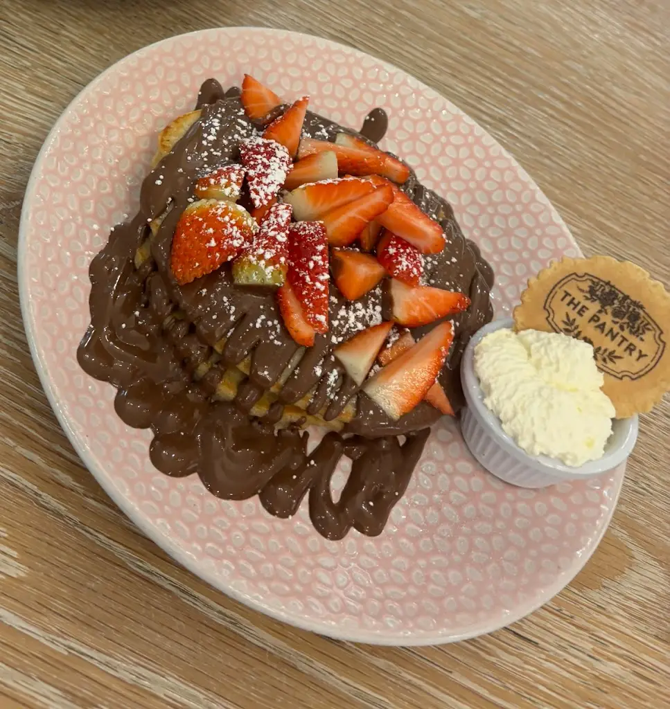 Olivia Ludwisiak_The Pantry Shannon_Shannon_review