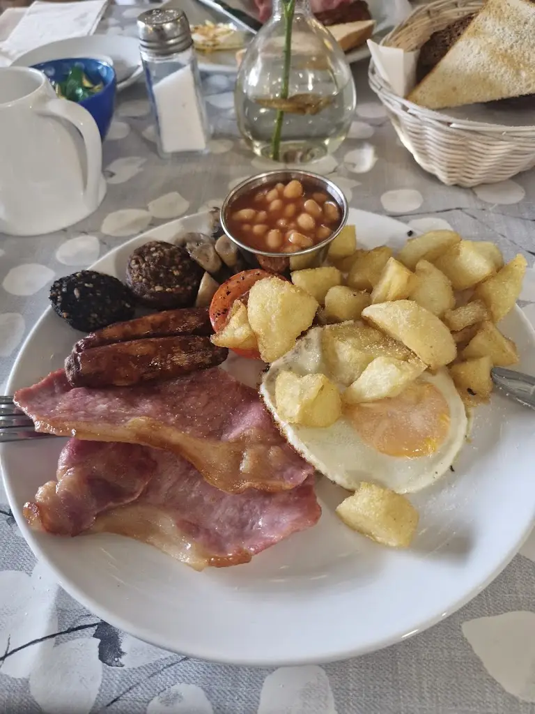 jim slattery_Tea and Tones Shannon_Shannon_review