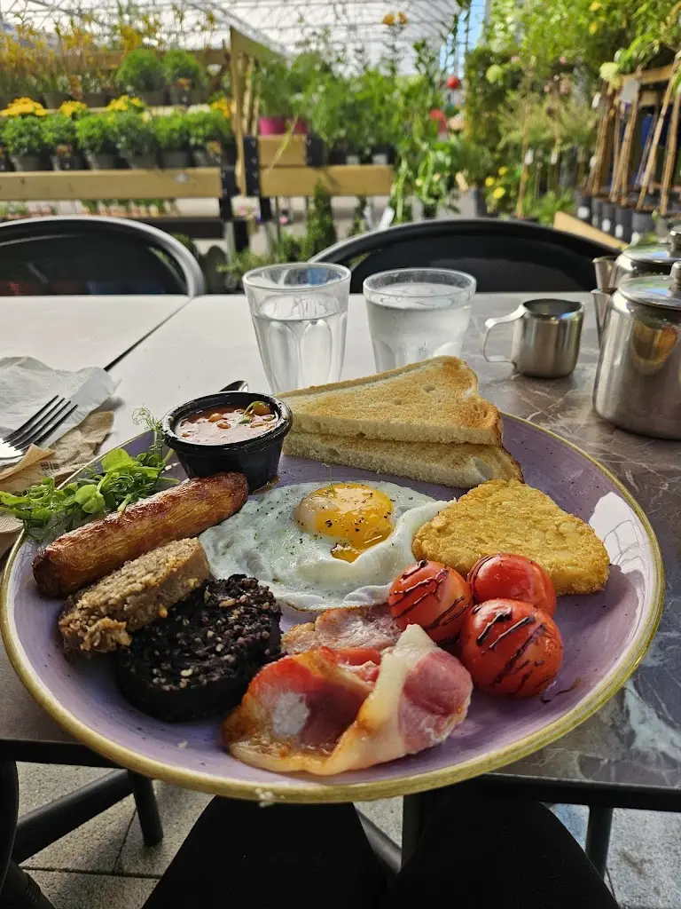 Esquires - The Organic Coffee Co (Mallow)_Mallow_slider_image_2