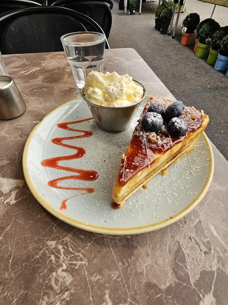 Esquires - The Organic Coffee Co (Mallow)_Mallow_slider_image_3