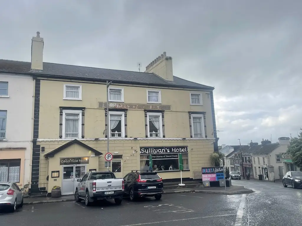 Xray Mike_Sullivan's Royal Hotel and Restaurant_Gort_recensione