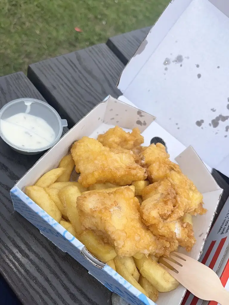 Melek Taş_Fishermans catch kinsale_Kinsale_reseña