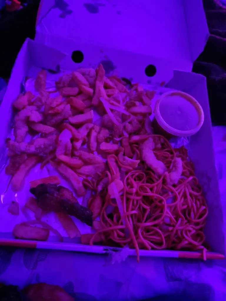 Steely Gaming_ZAK Asian Street Food GORT_Gort_review