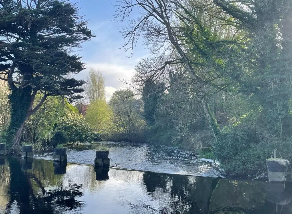 Mags McGing_Gleesons Bar_Sixmilebridge_Bewertung