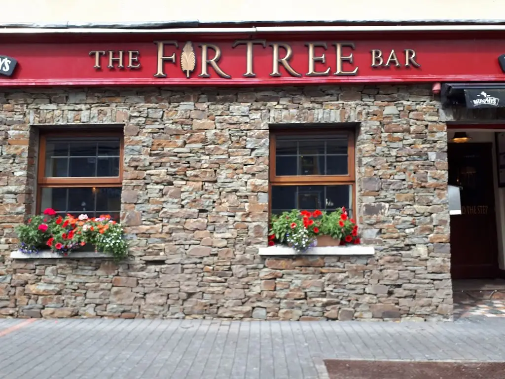 The Fir Tree Bar_Watergrasshill_slider_image_1