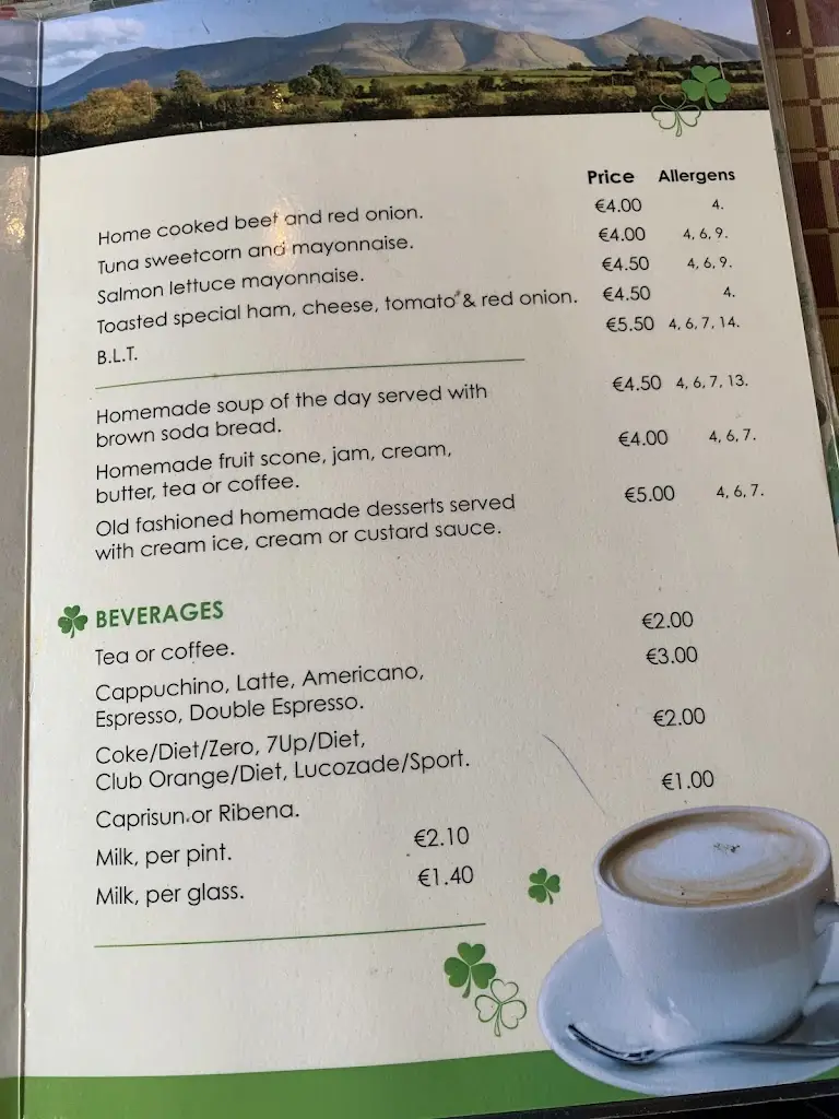 Menu_Shamrog's BISTRO_Tipperary_image_1