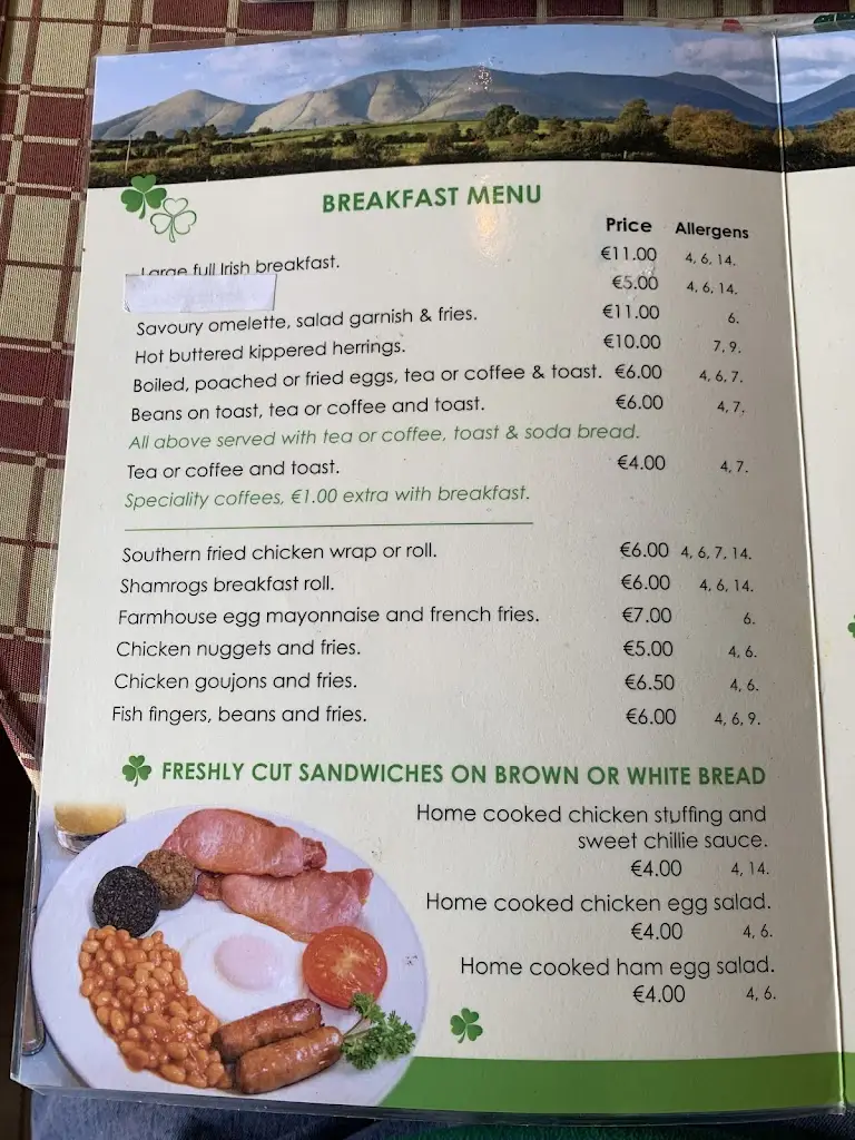 Menu_Shamrog's BISTRO_Tipperary_image_3