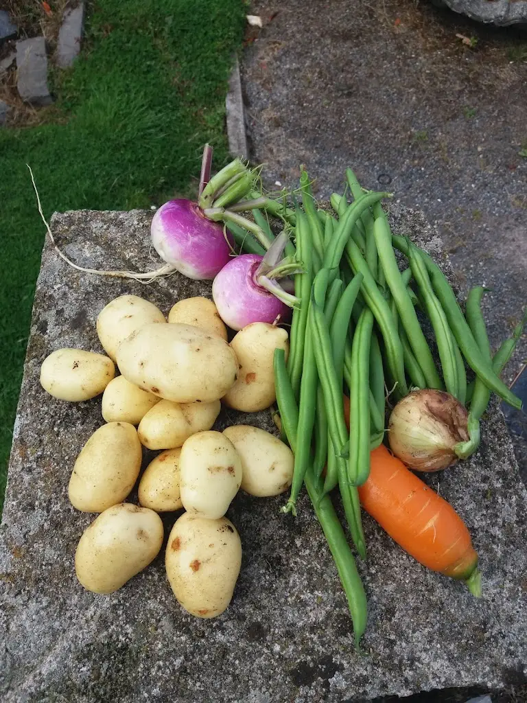 Menu_Shamrog's BISTRO_Tipperary_image_6