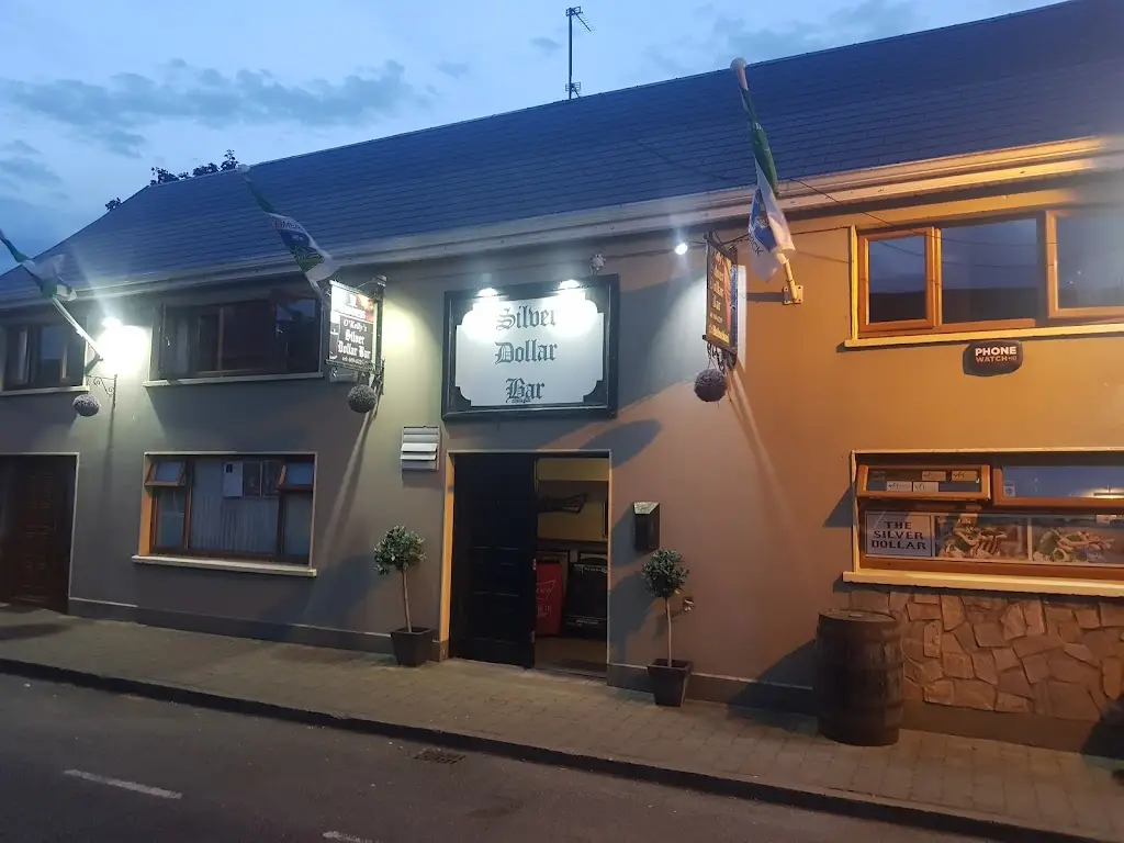 Kevin Barry_Silver Dollar Bar_Newcastle West_review