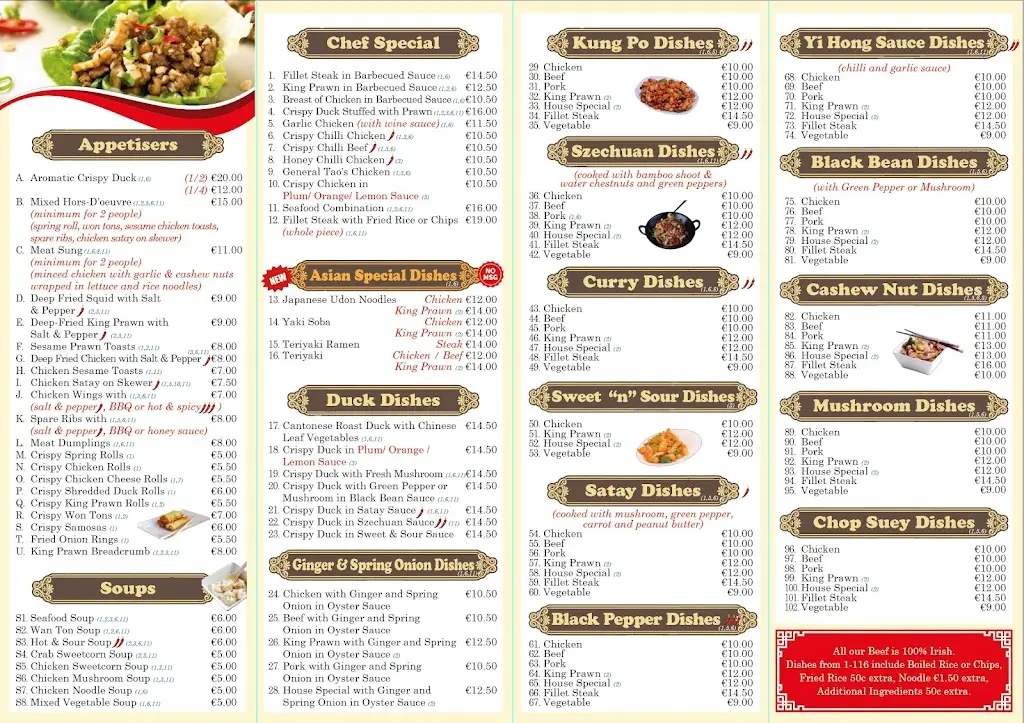 Menu_The River Chinese Restaurant_Newcastle West_image_1