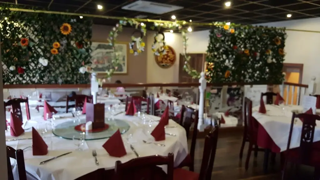 Kambo_Thurles_slider_image_1