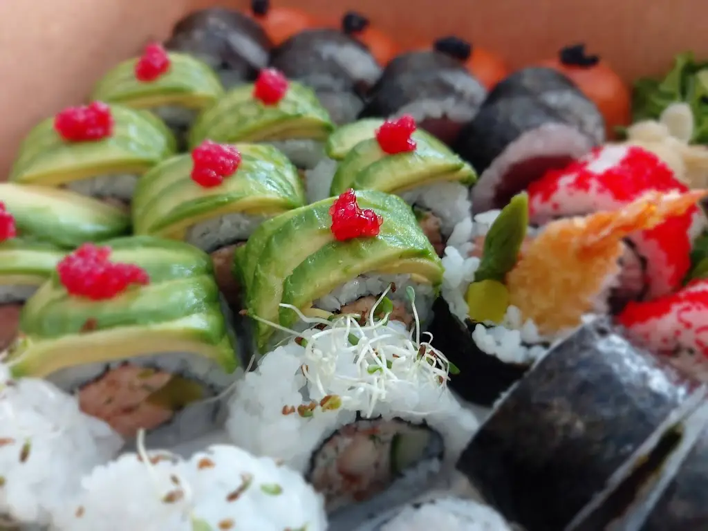 Menu_TokYou Sushi_Skibbereen_imagen_5