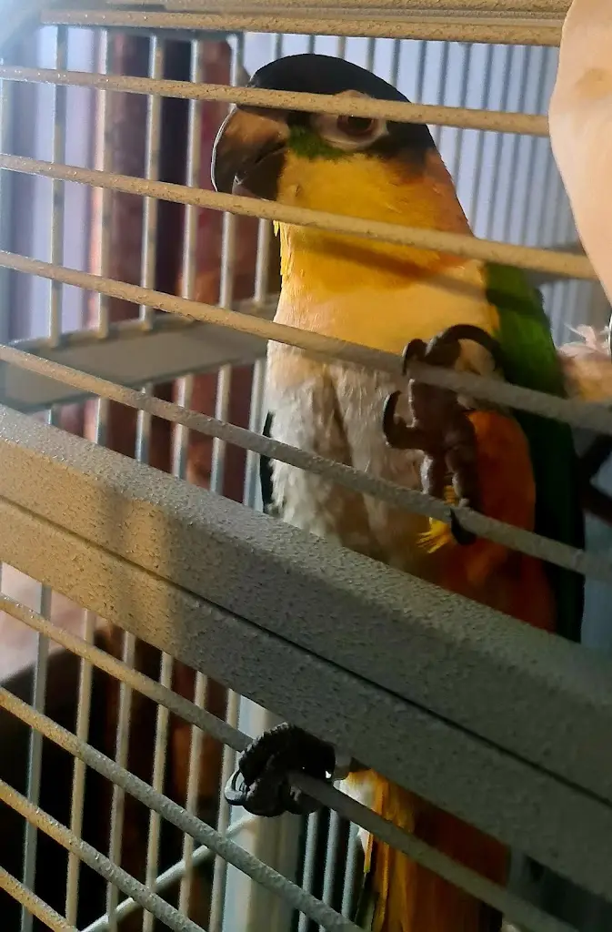 Esther Upritchard_The Dog House_Ballybofey_review