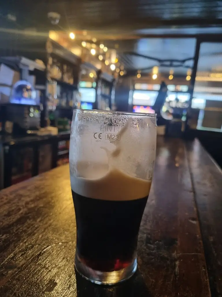 Edwin B. Flavin_The Old Imperial Youghal_Youghal_review