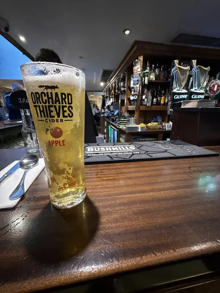 Jordan N_Powers Thatch, Bar And Restaurant_Oughterard_review