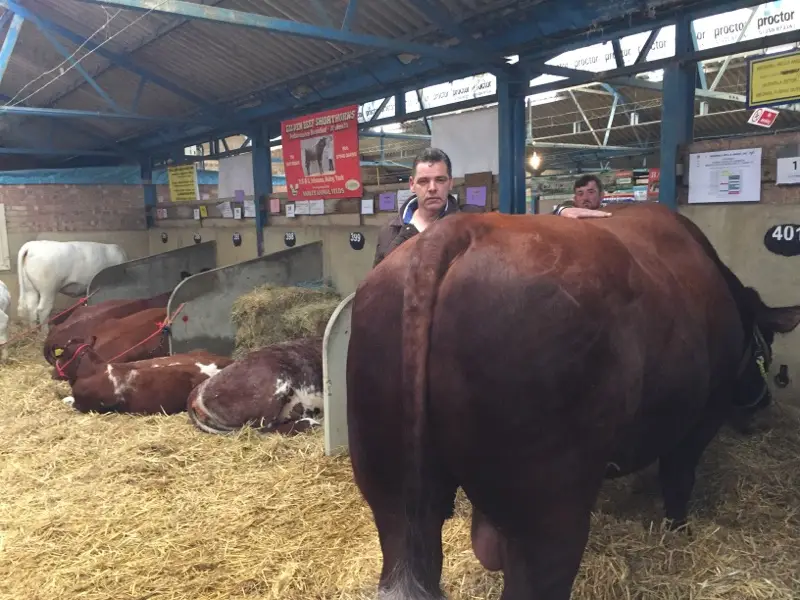 Bridgend Bar_Ballyshannon_slider_image_3