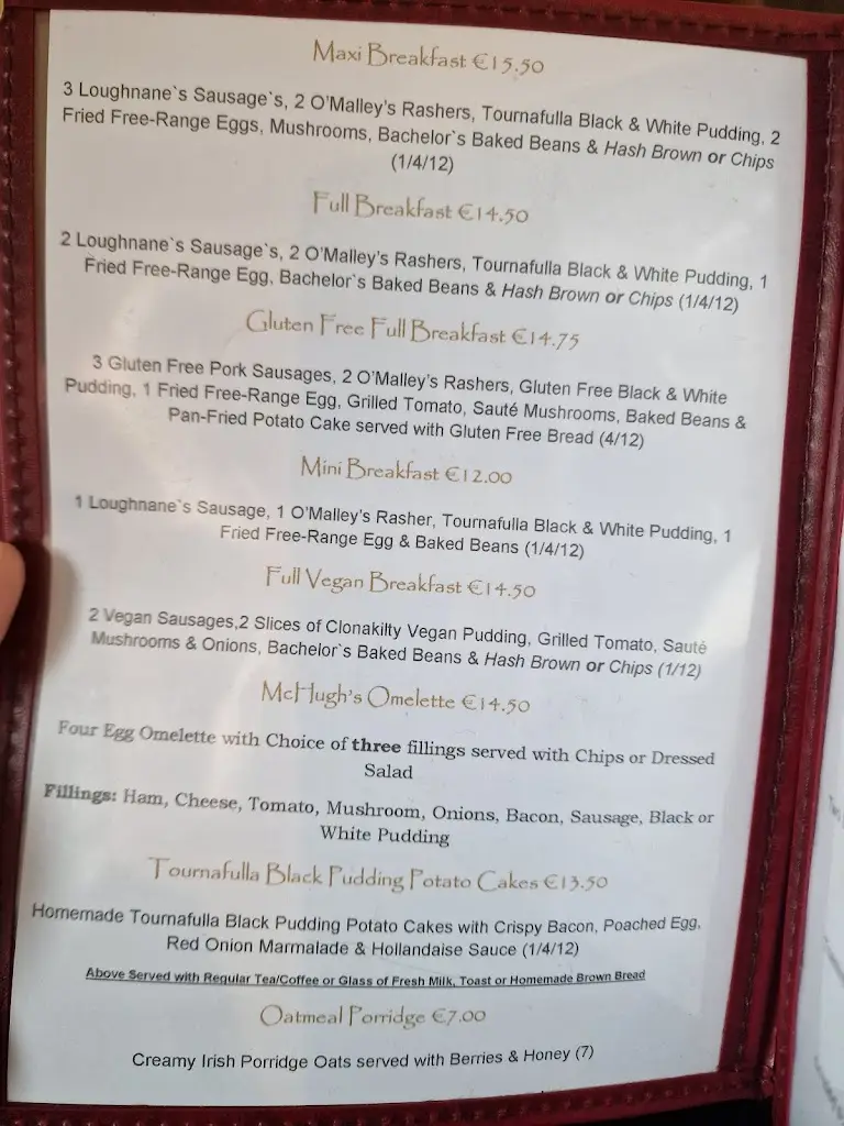 Menu_McHugh's Traditional Pub & Restaurant_Claregalway_image_1