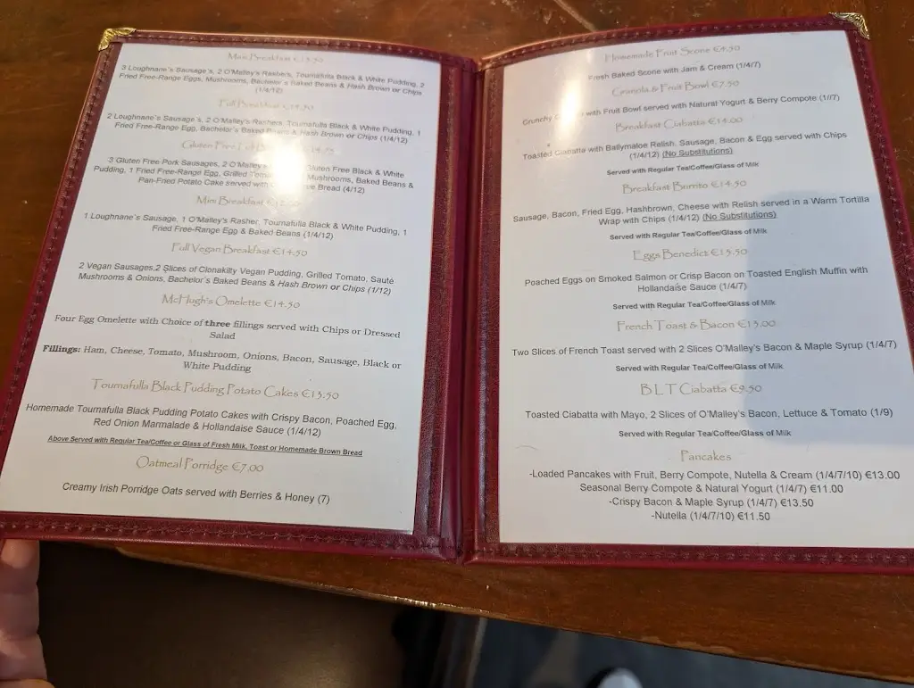 Menu_McHugh's Traditional Pub & Restaurant_Claregalway_image_2