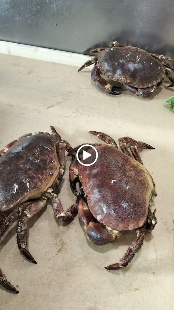 Cove Restaurant_County Donegal_slider_image_2