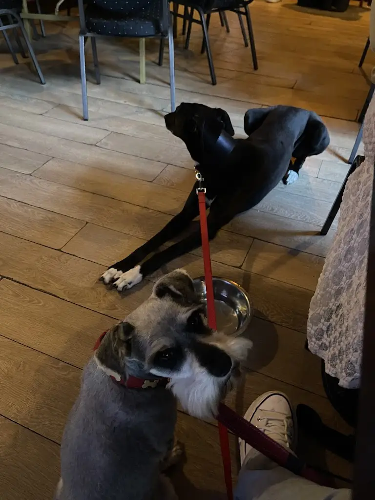 geraldine robinson_Orchard Bar Bistro_Dunlewy_review