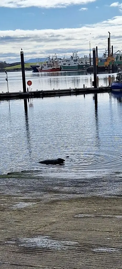 Tom McManus_Bay View Hotel_Killybegs_avis