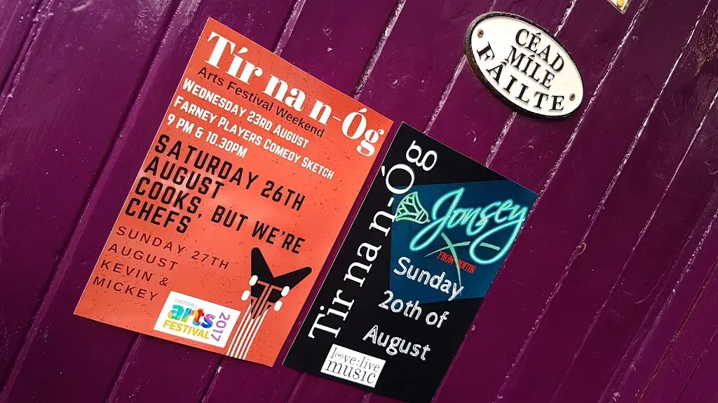 Menu_Tir na n-Óg_Cootehill_image_1