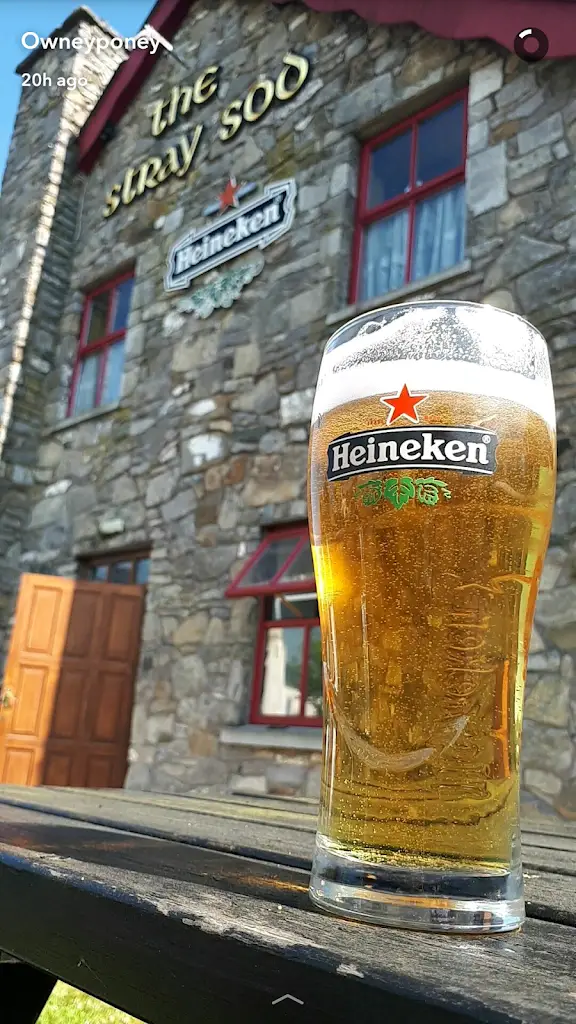 Menü_The Stray Sod_Cootehill_Bild_7