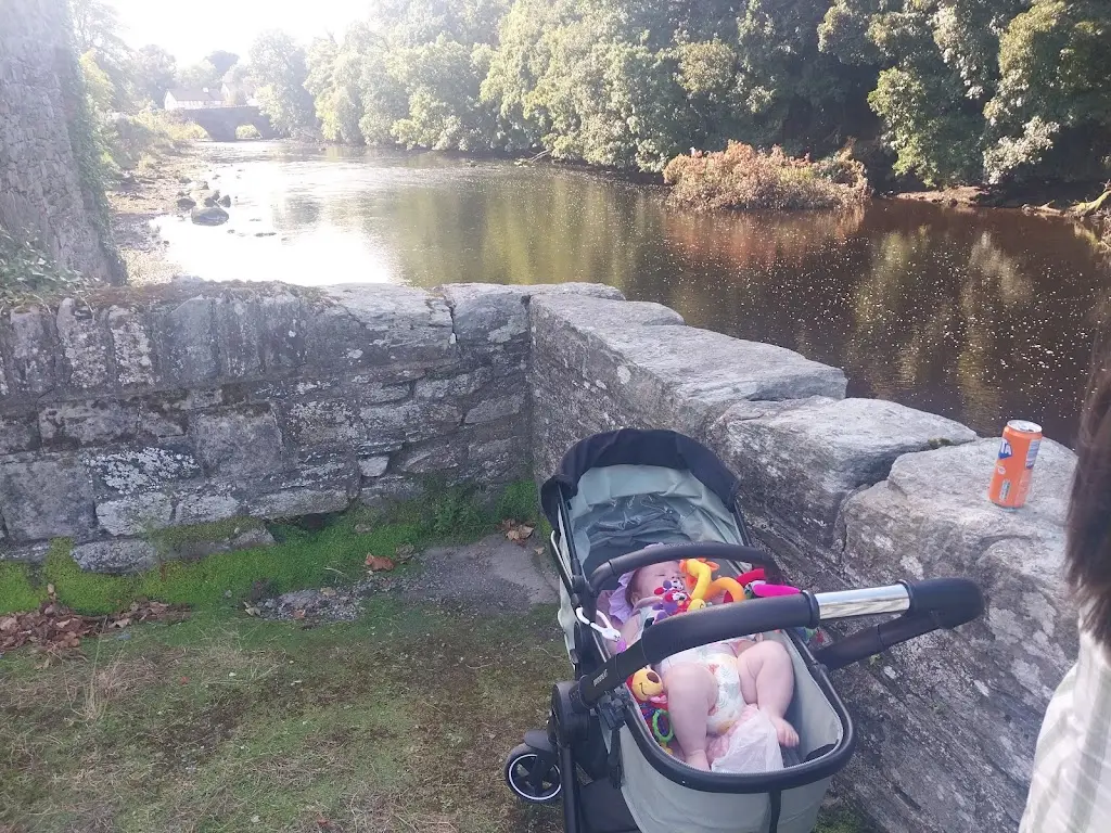 Keith Millar_Johnnys Ranch_Ramelton_review