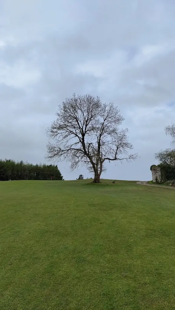 Fairways Restaurant_Portumna_slider_image_1