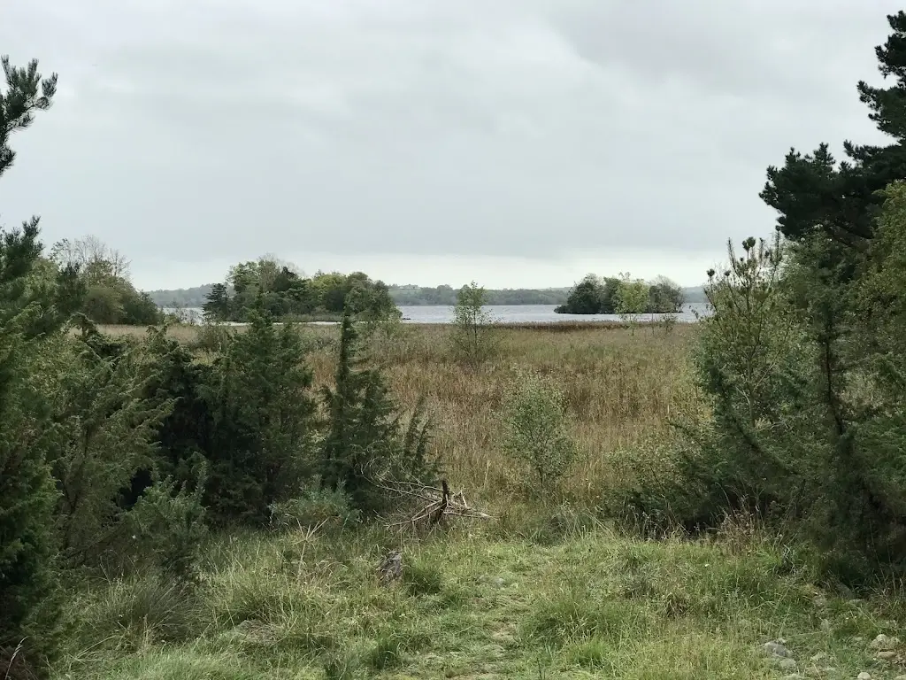 Shane Middleton_Portumna Castle Tea Room - CaToCa Fine Food_Portumna_review