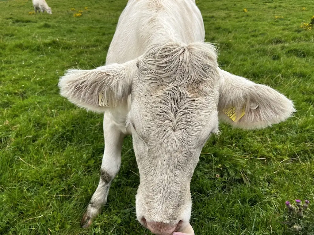 Gina Lepore_PORTERHOUSE_Oranmore_review