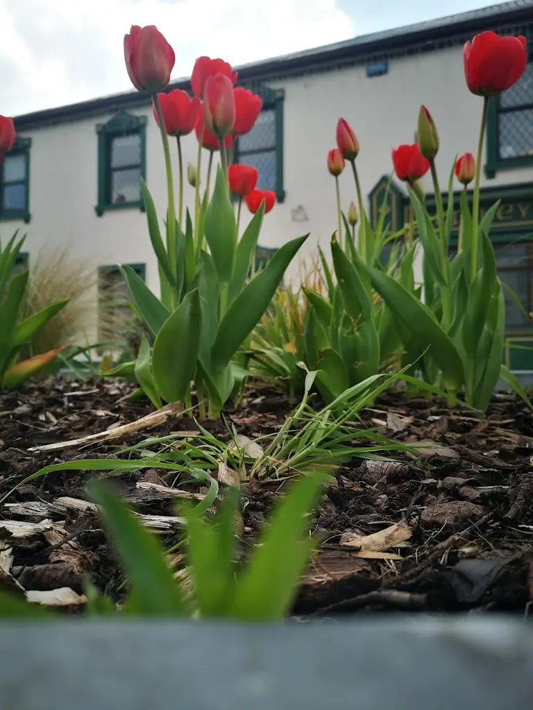 From the ground up 2020_Tobercurry_slider_image_3