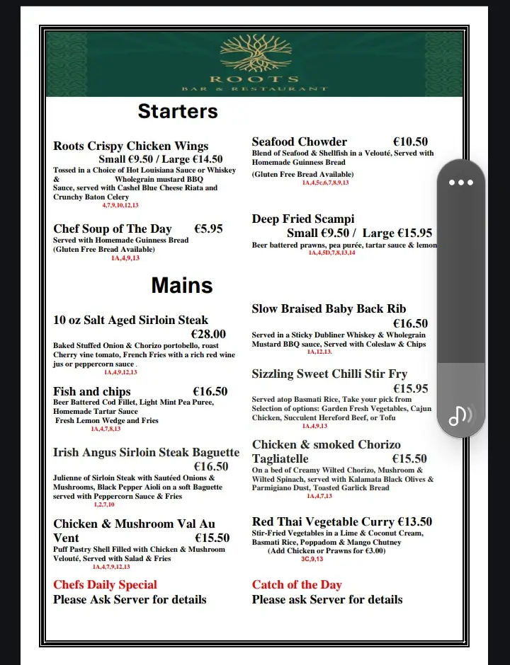 Menü_roots bar and restaurant_Abbeyleix_Bild_2