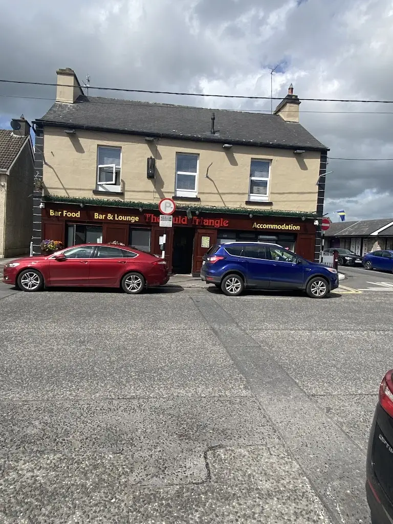 The Auld Triangle_Loughrea_slider_image_3