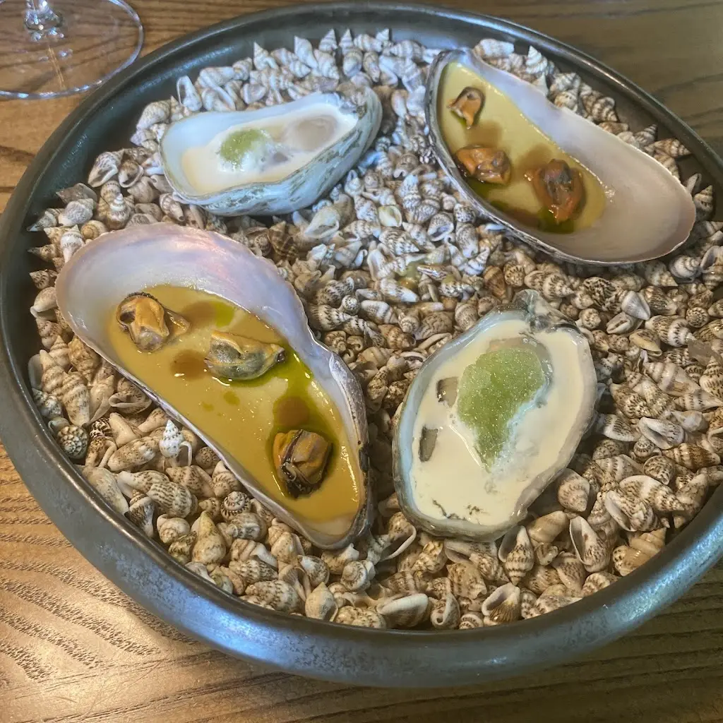 Conor_Lignum_Loughrea_review