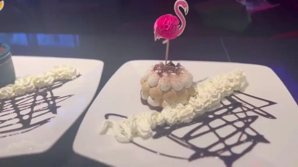 Elsa_RICE_Ardee_review