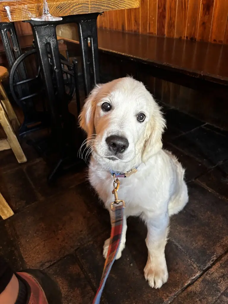 Bernard Geraghty Landscape Tours_McDonnells Bar & Undertakers_Belmullet_Bewertung