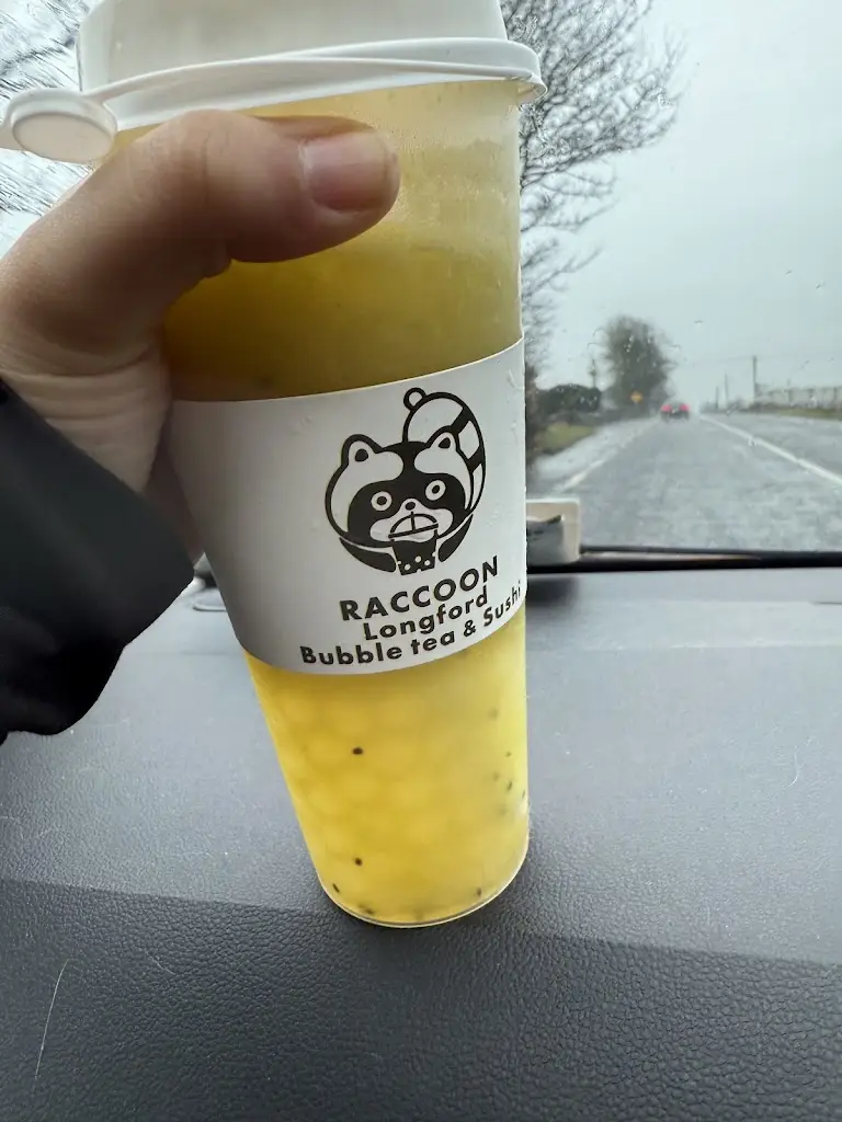 Prapti Setty_Raccoon bubble tea & Sushi Bar_An Longfort_review